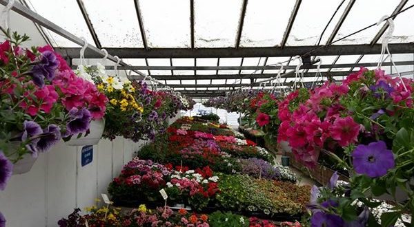 Notre jardinerie
